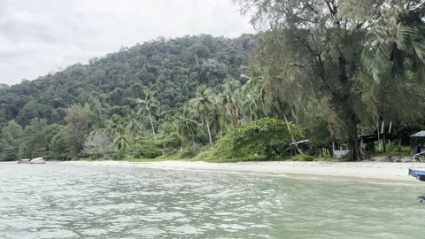 Malaysia - Penang, Monkey Beach (4K, HDR) 動画素材 238782045
