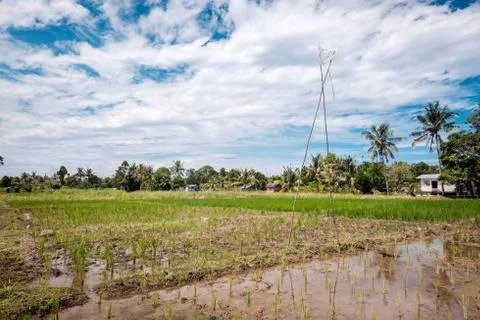 Malaysia Stock Photos