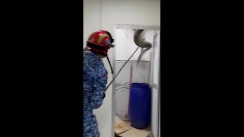 Malaysia: Python crashes through family's bathroom ceiling Stock Footage 321283610