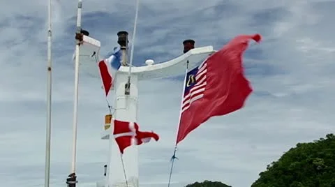 Malaysian flag Video stock 10725023