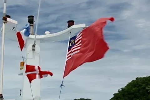 Malaysian flag Stock Footage 10725217