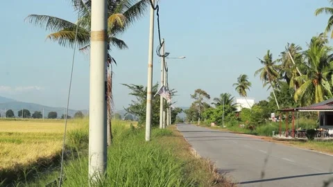 Malaysian Flag Vídeos de archivo 169371056