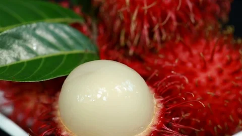 Malaysian Red Rambutans Stock Footage 123096853