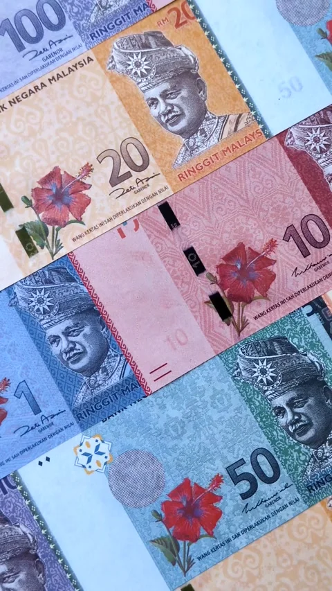 Malaysian ringgit banknotes as a tool for trade and financial transactions. The  Stock Footage 340641096