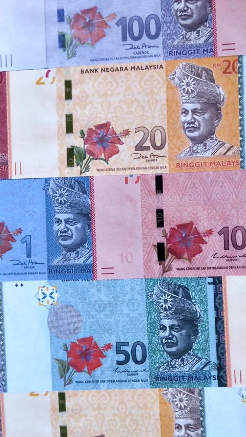 Malaysian ringgit banknotes as a tool for trade and financial transactions. The  Stock Footage 340641114