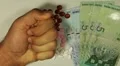 Malaysian Ringgit MYR, Counting Drugs and Money, Health Care, Colorful Pills HD Footage