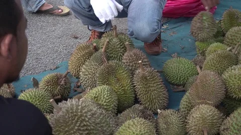 Malaysians buying Durians at a roadside stall. Stock Footage