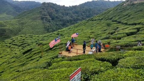 Malaysians Stock Photos