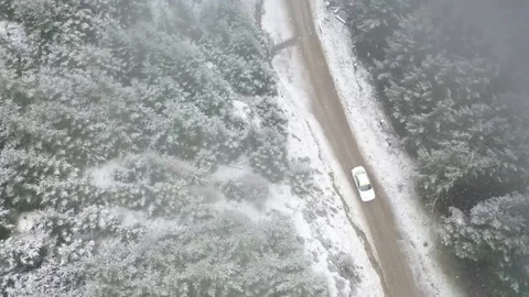 Malcolm Wilson Rally 2019 - White Car, Whinlatter Pass Video stock 104287948