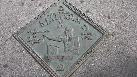 MALCOLM X SIGN ON THE ROAD NEW YORK HARLEM Stock Footage 81380466