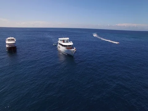 Malddives 6 Video stock 76578200