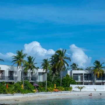 Maldeves in summer Stockfoto's