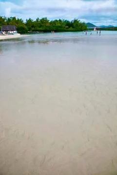 Maldive beach Foto stock