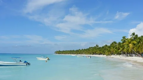 Maldive beach stock video footage, white sand beach palm trees and sea landscape Stock Footage 120957341
