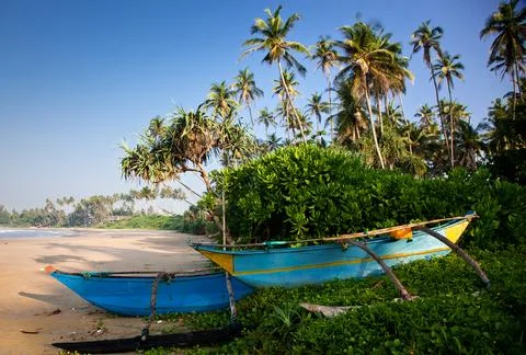 Maldives (12) Stock Photos