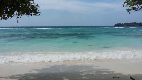 Maldives Beach Stock Footage 98051640