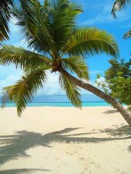 Maldives beach Foto stock