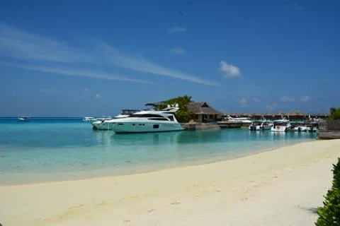 Maldives beach 写真素材