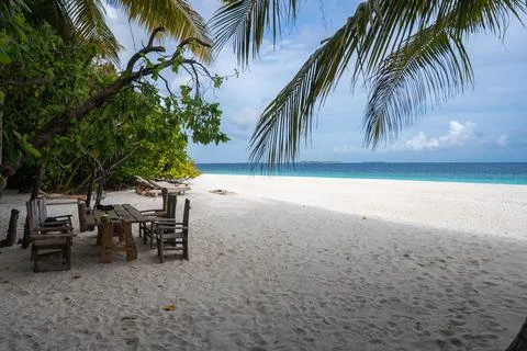 Maldives beachfront dining setup under palm trees by turquoise lagoon 写真素材
