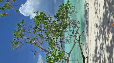 Maldives beach,vertical Stock Footage 26827380
