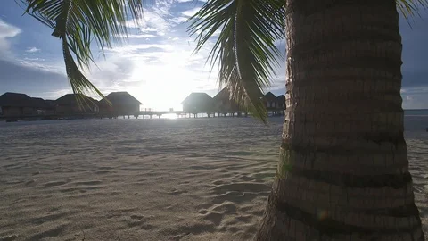 Maldives cabins behind a tree sun flare Stock Footage 90695572