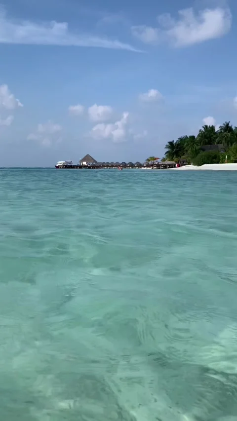 Maldives clear water surface view tropical island resort beach HD vertical Stock-Footage 342338882