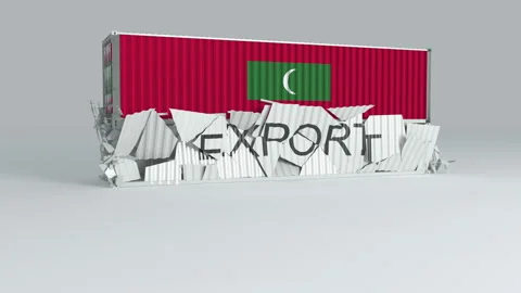 Maldives container with the flag falls on top of a container labeled EXPORT Stock Footage 124599458