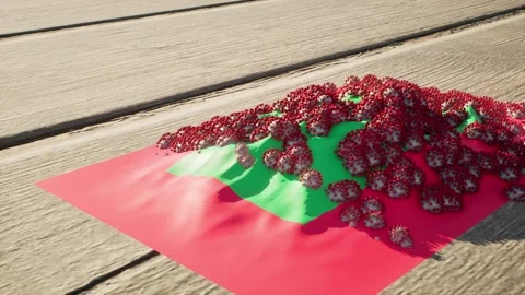 Maldives Flag - Virus Growth Stock Footage 320291396