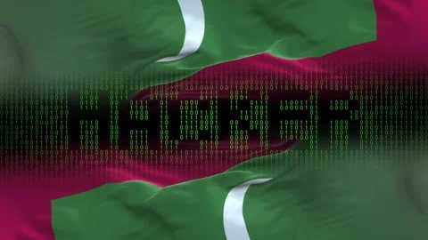 Maldives flag - Waving flag on matrix binary code background Stock Footage 321420290