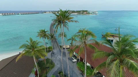 Maldives, flying through the palms. Stock Footage 162626342