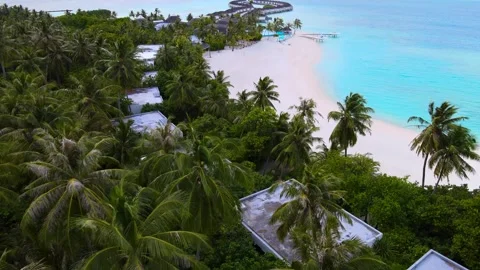 Maldives Stock Footage 251184877