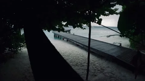 Maldives, forest, beach, transition Stock Footage 221348634