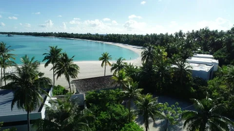Maldives, general view of the island, flight through palm trees Stock Footage 162625762