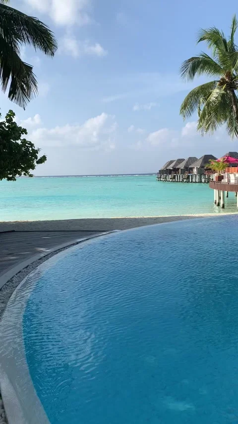 Maldives infinity pool luxury resort turquoise lagoon water bungalows HD 스톡 동영상 342338888