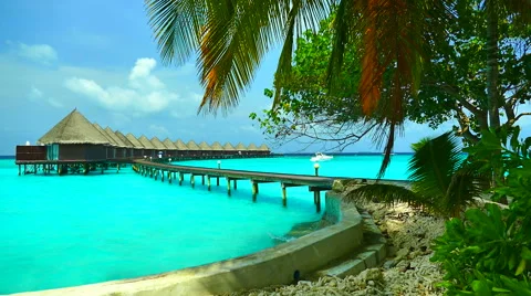 Maldives island Stock Footage 65204209