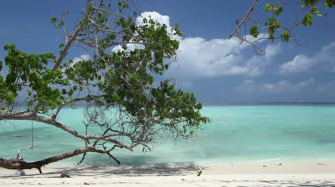 Maldives islands Stock Footage 26740090