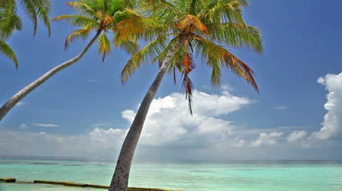Maldives islands Stock Footage 26743621