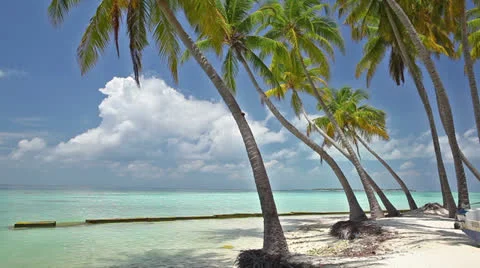 Maldives islands Stock Footage 26775843