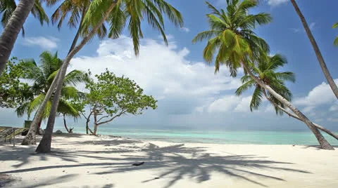 Maldives islands Stock Footage 26812434