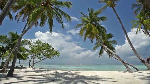 Maldives islands Stock Footage 26849900