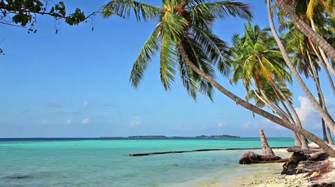Maldives islands Stock Footage 26905656