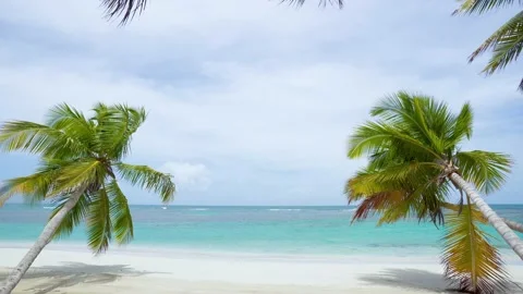 Maldives palm trees island summer sunny sea beach background stock video 4k Stock Footage