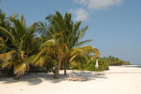 MALDIVES Stock Photos