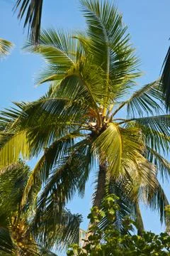 Maldives Stock Photos