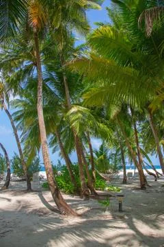 Maldives Stock Photos