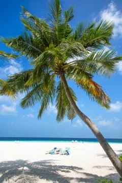 Maldives Stock Photos