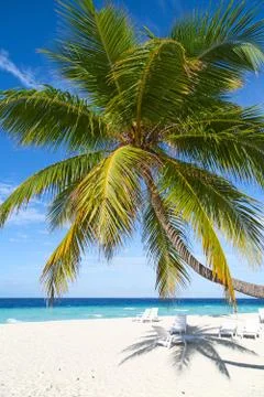 Maldives Stock Photos