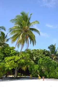 Maldives Stock Photos