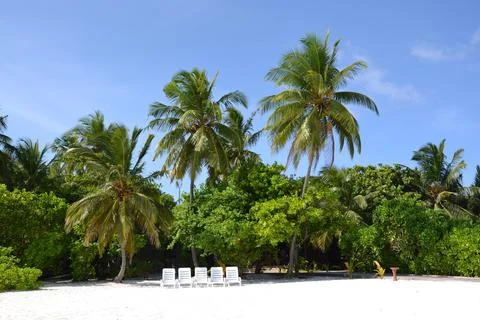 Maldives Stock Photos