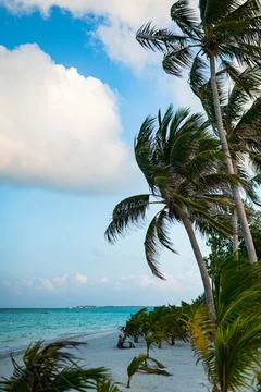 Maldives Stock Photos